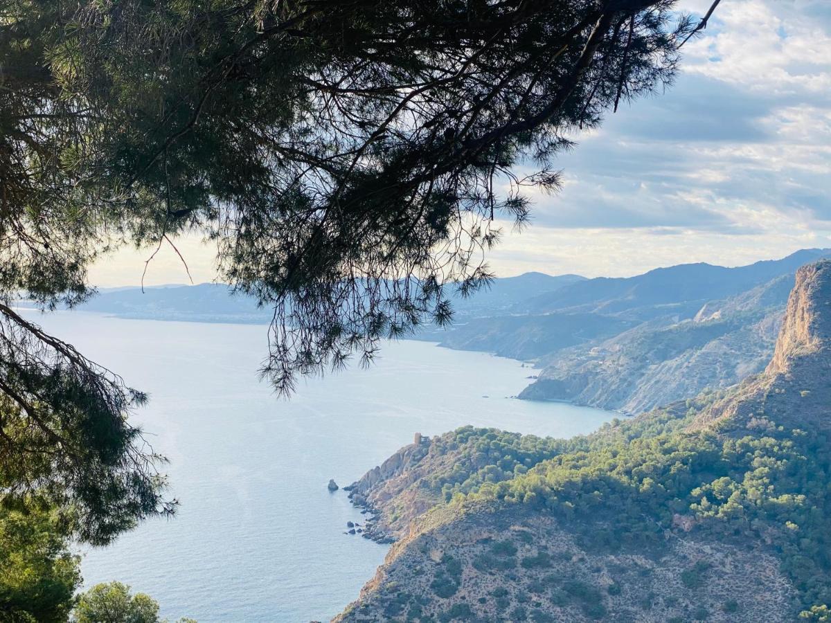 Jardines De Adnania En Marina Del Este Con Vistas Al Mar La Herradura  Zewnętrze zdjęcie